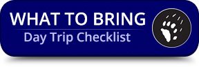 day-trip-button
